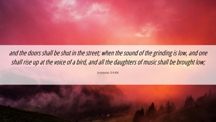 Picture 06 - Ecclesiastes 12:4 ASV Desktop Wallpaper - and the doors shall be shut in the street; when - Desktop Bible Verse Wallpaper