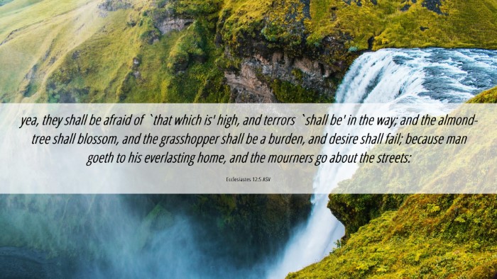 Picture 06 - Ecclesiastes 12:5 ASV Desktop Wallpaper - yea, they shall be afraid of `that which is' - Desktop Bible Verse Wallpaper
