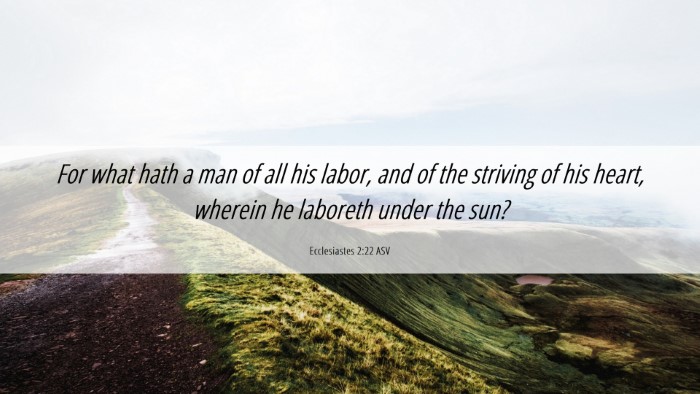 Picture 06 - Ecclesiastes 2:22 ASV Desktop Wallpaper - For what hath a man of all his labor, and of the - Desktop Bible Verse Wallpaper