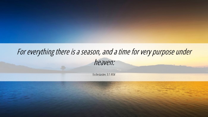 Picture 06 - Ecclesiastes 3:1 ASV Desktop Wallpaper - For everything there is a season, and a time for - Desktop Bible Verse Wallpaper