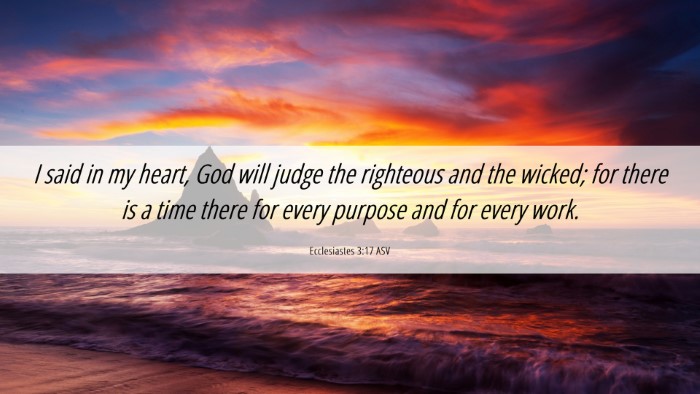 Picture 06 - Ecclesiastes 3:17 ASV Desktop Wallpaper - I said in my heart, God will judge the righteous - Desktop Bible Verse Wallpaper