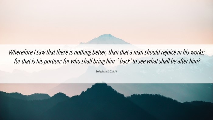 Picture 06 - Ecclesiastes 3:22 ASV Desktop Wallpaper - Wherefore I saw that there is nothing better, - Desktop Bible Verse Wallpaper