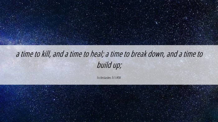 Picture 06 - Ecclesiastes 3:3 ASV Desktop Wallpaper - a time to kill, and a time to heal; a time to - Desktop Bible Verse Wallpaper