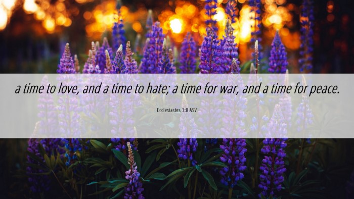 Picture 06 - Ecclesiastes 3:8 ASV Desktop Wallpaper - a time to love, and a time to hate; a time for - Desktop Bible Verse Wallpaper