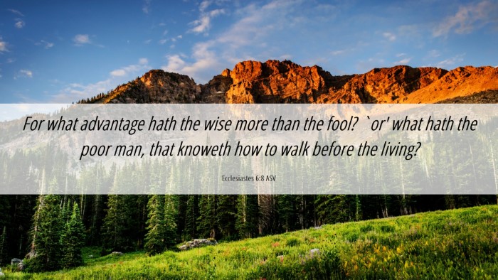 Picture 06 - Ecclesiastes 6:8 ASV Desktop Wallpaper - For what advantage hath the wise more than the - Desktop Bible Verse Wallpaper