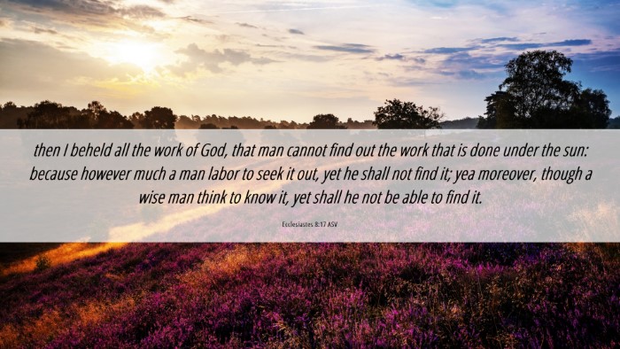 Picture 06 - Ecclesiastes 8:17 ASV Desktop Wallpaper - then I beheld all the work of God, that man - Desktop Bible Verse Wallpaper