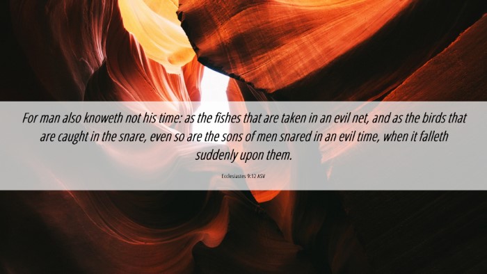 Picture 06 - Ecclesiastes 9:12 ASV Desktop Wallpaper - For man also knoweth not his time: as the fishes - Desktop Bible Verse Wallpaper