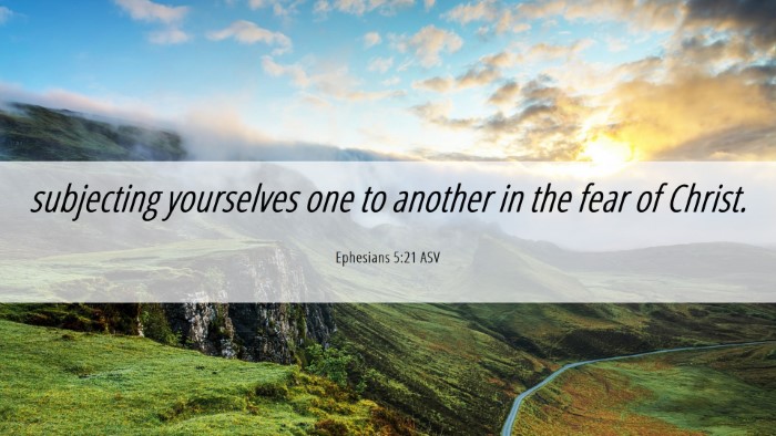Picture 06 - Ephesians 5:21 ASV Desktop Wallpaper - subjecting yourselves one to another in the fear - Desktop Bible Verse Wallpaper