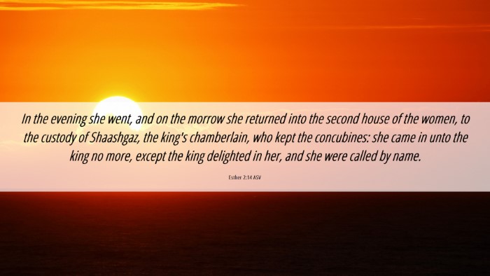 Picture 06 - Esther 2:14 ASV Desktop Wallpaper - In the evening she went, and on the morrow she - Desktop Bible Verse Wallpaper