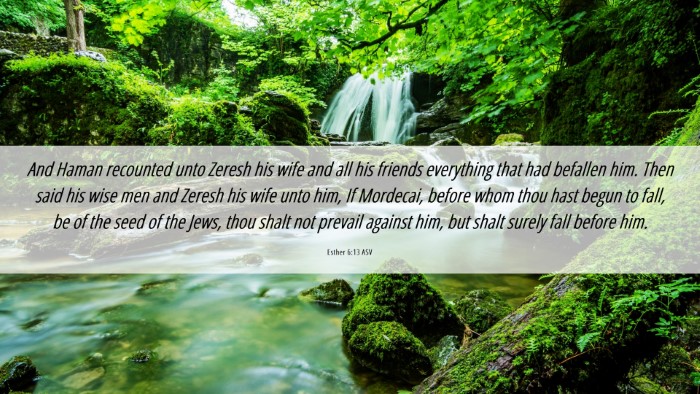 Picture 06 - Esther 6:13 ASV Desktop Wallpaper - And Haman recounted unto Zeresh his wife and all - Desktop Bible Verse Wallpaper