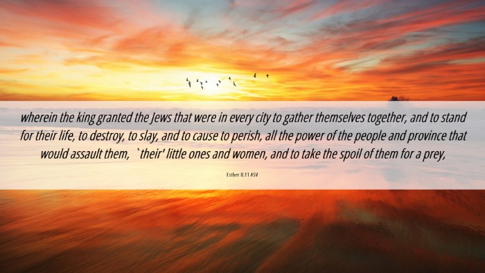 Picture 06 - Esther 8:11 ASV Desktop Wallpaper - wherein the king granted the Jews that were in - Desktop Bible Verse Wallpaper
