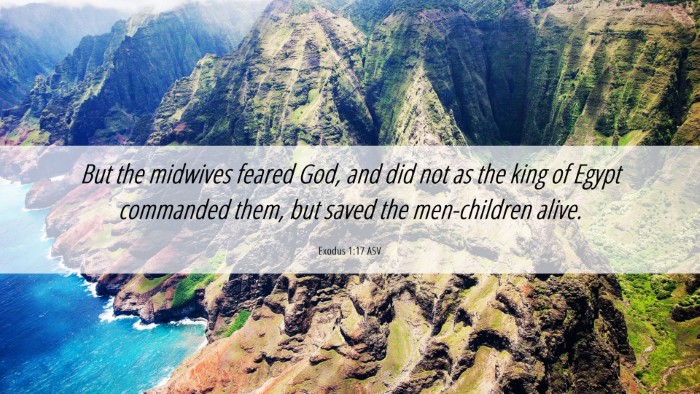 Picture 06 - Exodus 1:17 ASV Desktop Wallpaper - But the midwives feared God, and did not as the - Desktop Bible Verse Wallpaper