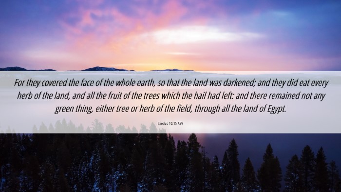 Picture 06 - Exodus 10:15 ASV Desktop Wallpaper - For they covered the face of the whole earth, so - Desktop Bible Verse Wallpaper