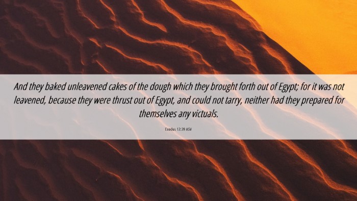 Picture 06 - Exodus 12:39 ASV Desktop Wallpaper - And they baked unleavened cakes of the dough - Desktop Bible Verse Wallpaper