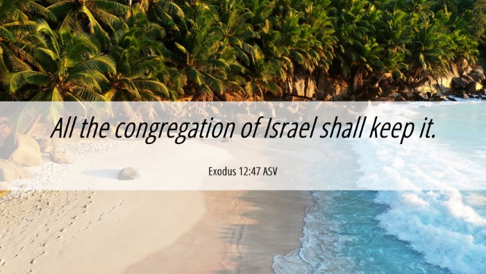 Picture 06 - Exodus 12:47 ASV Desktop Wallpaper - All the congregation of Israel shall keep - Desktop Bible Verse Wallpaper