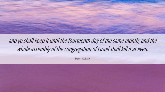 Picture 06 - Exodus 12:6 ASV Desktop Wallpaper - and ye shall keep it until the fourteenth day of - Desktop Bible Verse Wallpaper