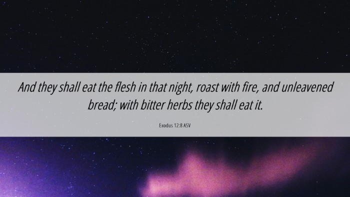 Picture 06 - Exodus 12:8 ASV Desktop Wallpaper - And they shall eat the flesh in that night, roast - Desktop Bible Verse Wallpaper