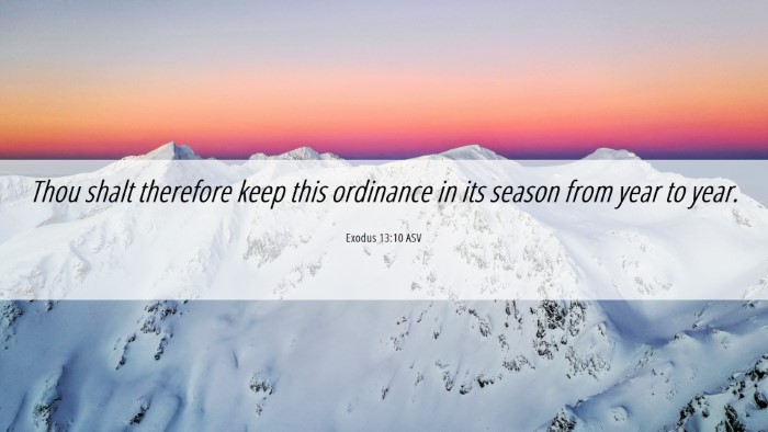 Picture 06 - Exodus 13:10 ASV Desktop Wallpaper - Thou shalt therefore keep this ordinance in its - Desktop Bible Verse Wallpaper