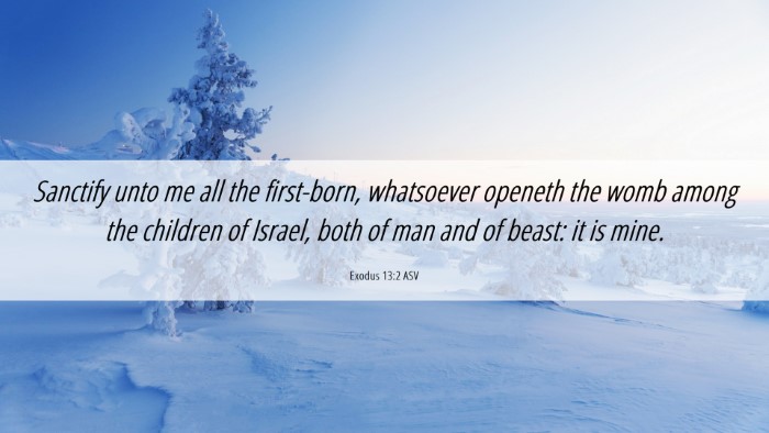 Picture 06 - Exodus 13:2 ASV Desktop Wallpaper - Sanctify unto me all the first-born, whatsoever - Desktop Bible Verse Wallpaper