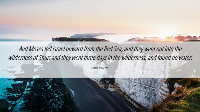 Picture 06 - Exodus 15:22 ASV Desktop Wallpaper - And Moses led Israel onward from the Red Sea, and - Desktop Bible Verse Wallpaper