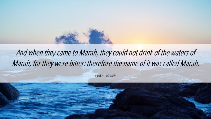 Picture 06 - Exodus 15:23 ASV Desktop Wallpaper - And when they came to Marah, they could not drink - Desktop Bible Verse Wallpaper