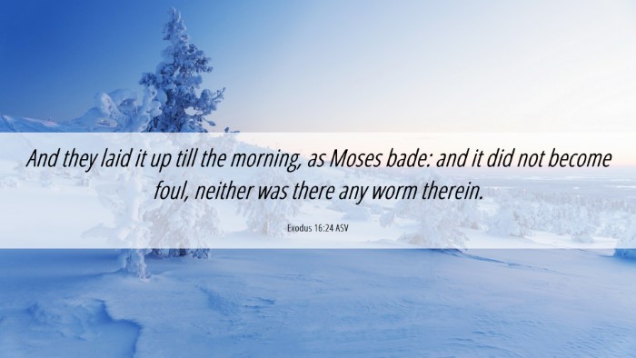 Picture 06 - Exodus 16:24 ASV Desktop Wallpaper - And they laid it up till the morning, as Moses - Desktop Bible Verse Wallpaper