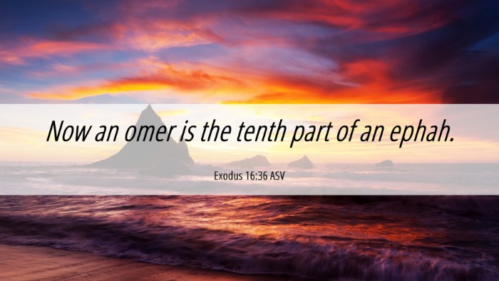 Picture 06 - Exodus 16:36 ASV Desktop Wallpaper - Now an omer is the tenth part of an - Desktop Bible Verse Wallpaper