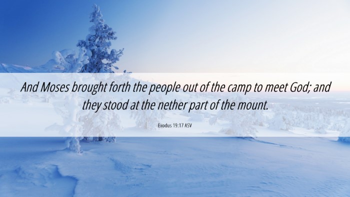 Picture 06 - Exodus 19:17 ASV Desktop Wallpaper - And Moses brought forth the people out of the - Desktop Bible Verse Wallpaper