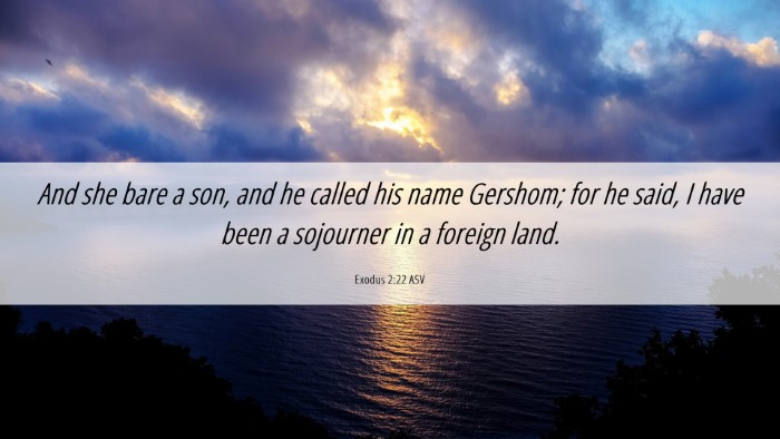 Picture 06 - Exodus 2:22 ASV Desktop Wallpaper - And she bare a son, and he called his name - Desktop Bible Verse Wallpaper