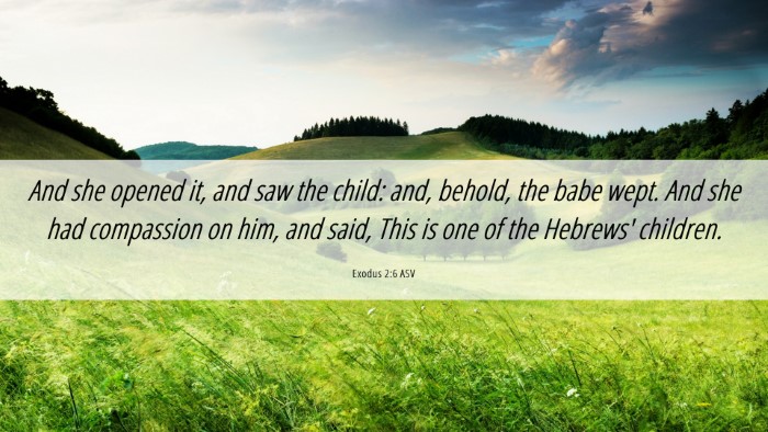 Picture 06 - Exodus 2:6 ASV Desktop Wallpaper - And she opened it, and saw the child: and, - Desktop Bible Verse Wallpaper