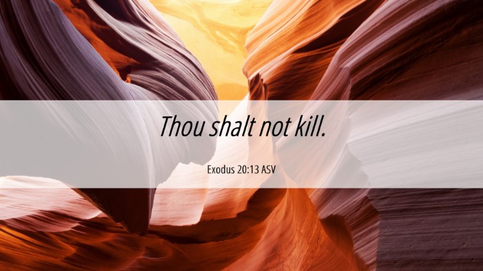 Picture 06 - Exodus 20:13 ASV Desktop Wallpaper - Thou shalt not - Desktop Bible Verse Wallpaper