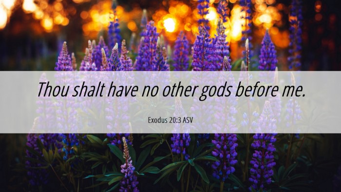 Picture 06 - Exodus 20:3 ASV Desktop Wallpaper - Thou shalt have no other gods before - Desktop Bible Verse Wallpaper