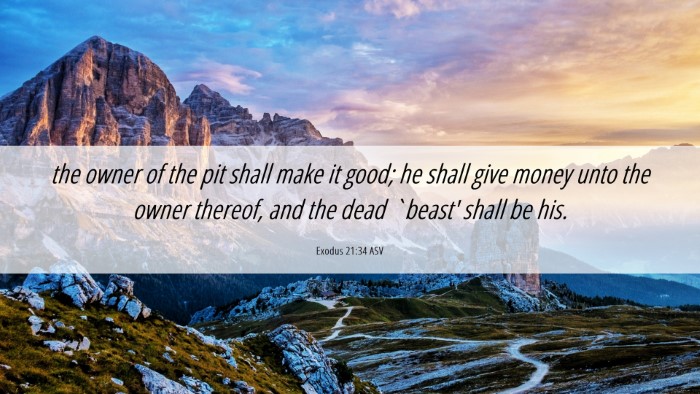 Picture 06 - Exodus 21:34 ASV Desktop Wallpaper - the owner of the pit shall make it good; he shall - Desktop Bible Verse Wallpaper