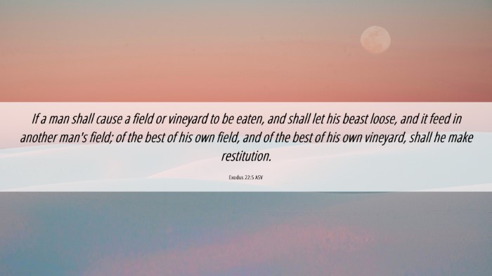 Picture 06 - Exodus 22:5 ASV Desktop Wallpaper - If a man shall cause a field or vineyard to be - Desktop Bible Verse Wallpaper
