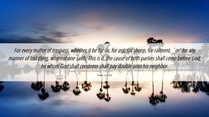 Picture 06 - Exodus 22:9 ASV Desktop Wallpaper - For every matter of trespass, whether it be for - Desktop Bible Verse Wallpaper