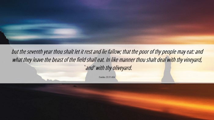 Picture 06 - Exodus 23:11 ASV Desktop Wallpaper - but the seventh year thou shalt let it rest and - Desktop Bible Verse Wallpaper