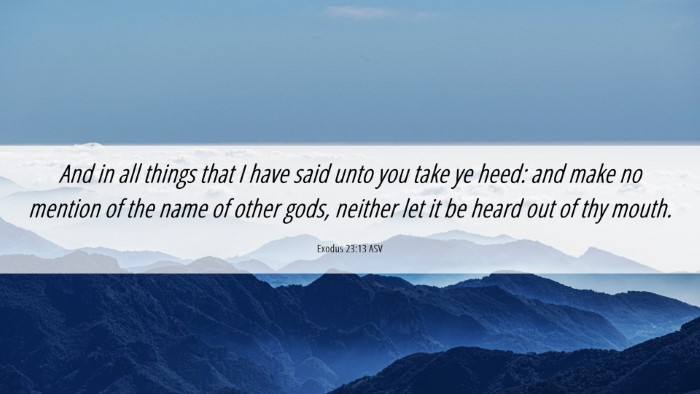 Picture 06 - Exodus 23:13 ASV Desktop Wallpaper - And in all things that I have said unto you take - Desktop Bible Verse Wallpaper