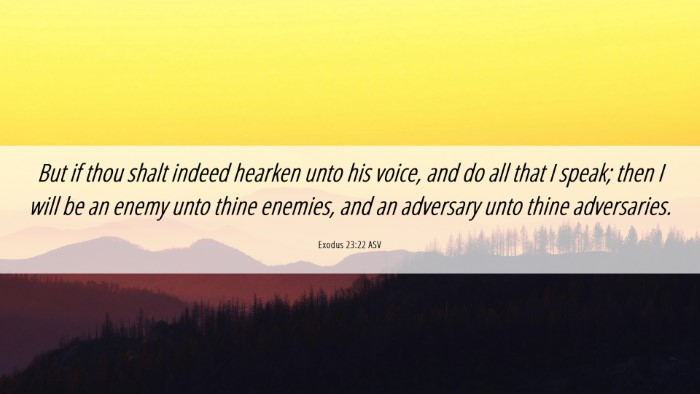 Picture 06 - Exodus 23:22 ASV Desktop Wallpaper - But if thou shalt indeed hearken unto his voice, - Desktop Bible Verse Wallpaper