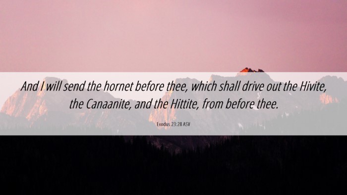 Picture 06 - Exodus 23:28 ASV Desktop Wallpaper - And I will send the hornet before thee, which - Desktop Bible Verse Wallpaper