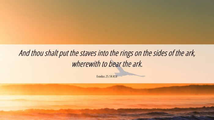 Picture 06 - Exodus 25:14 ASV Desktop Wallpaper - And thou shalt put the staves into the rings on - Desktop Bible Verse Wallpaper