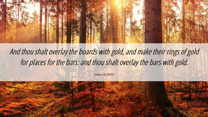 Picture 06 - Exodus 26:29 ASV Desktop Wallpaper - And thou shalt overlay the boards with gold, and - Desktop Bible Verse Wallpaper