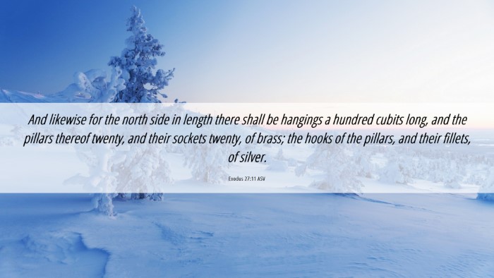 Picture 06 - Exodus 27:11 ASV Desktop Wallpaper - And likewise for the north side in length there - Desktop Bible Verse Wallpaper