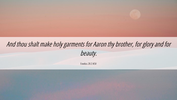 Picture 06 - Exodus 28:2 ASV Desktop Wallpaper - And thou shalt make holy garments for Aaron thy - Desktop Bible Verse Wallpaper