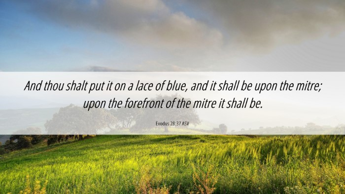 Picture 06 - Exodus 28:37 ASV Desktop Wallpaper - And thou shalt put it on a lace of blue, and it - Desktop Bible Verse Wallpaper