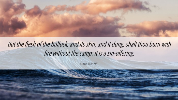 Picture 06 - Exodus 29:14 ASV Desktop Wallpaper - But the flesh of the bullock, and its skin, and - Desktop Bible Verse Wallpaper
