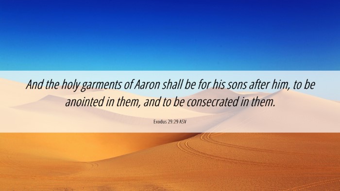 Picture 06 - Exodus 29:29 ASV Desktop Wallpaper - And the holy garments of Aaron shall be for his - Desktop Bible Verse Wallpaper