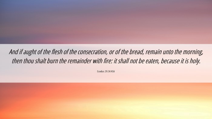 Picture 06 - Exodus 29:34 ASV Desktop Wallpaper - And if aught of the flesh of the consecration, or - Desktop Bible Verse Wallpaper