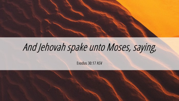Picture 06 - Exodus 30:17 ASV Desktop Wallpaper - And Jehovah spake unto Moses, - Desktop Bible Verse Wallpaper