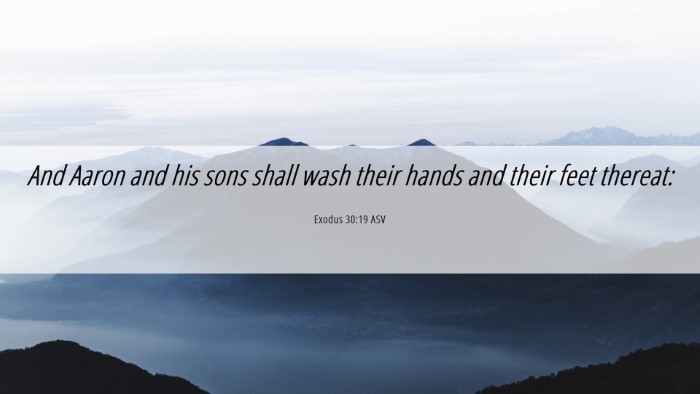 Picture 06 - Exodus 30:19 ASV Desktop Wallpaper - And Aaron and his sons shall wash their hands and - Desktop Bible Verse Wallpaper