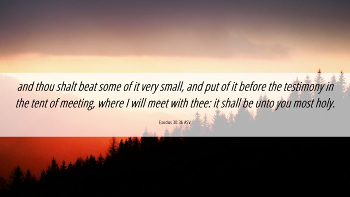 Picture 06 - Exodus 30:36 ASV Desktop Wallpaper - and thou shalt beat some of it very small, and - Desktop Bible Verse Wallpaper